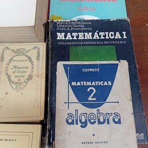 Lote de Libros de Estudio y Diccionarios en Varios Idiomas - imagen 2