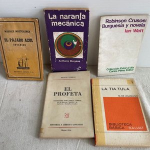 Lote siguiente: Lote de Libros: La Naranja Mecánica, El Profeta, La Tia Tula, Robinson Crusoe, El Pájaro Azul