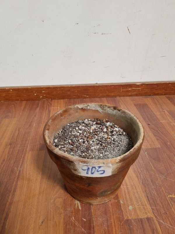 Macetas de barro para decoración - imagen 2