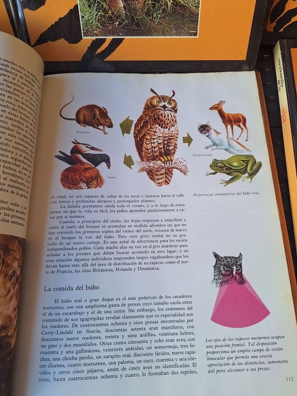 Item 879823 - Image 3