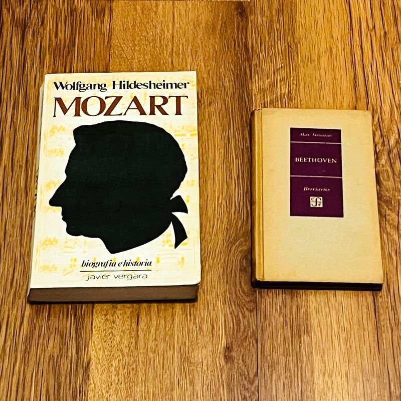 Libros Biografía "Mozart" Wolfgang Hidesheimer y "Beethoven"