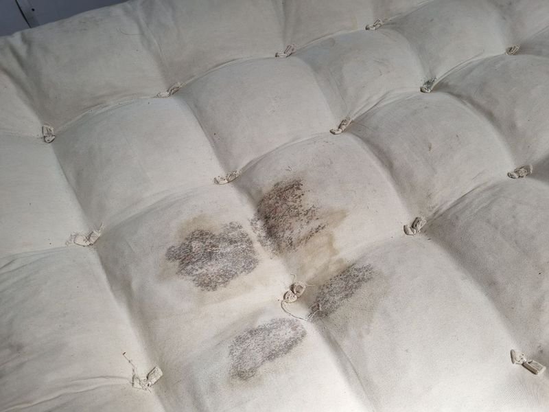 Sillon Sofa Cama Futon En Madera: Un sofá cama versátil y cómodo - imagen 6