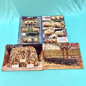 Lote anterior: 4 Revistas Antiguas "Propaganda Rural" (Años 40s-50s)