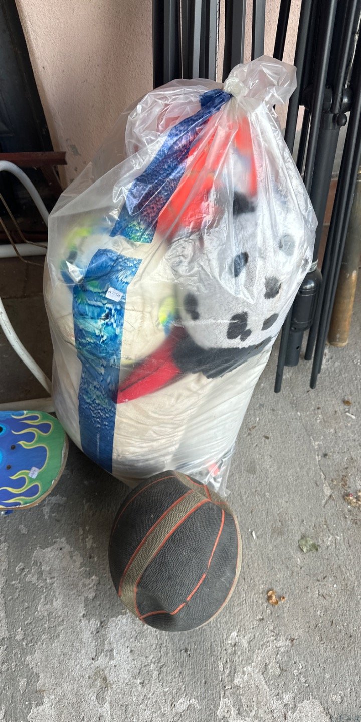 Bolsa con Pelotas y Peluches Varios