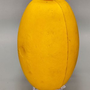 Lote siguiente: Boya Flotante Oval de Espuma Amarilla
