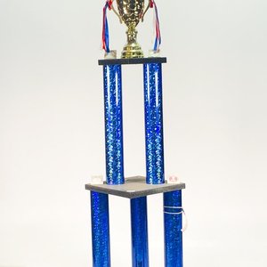 Lote siguiente: Trofeo de Copa de Plata para Torneo Empresarial