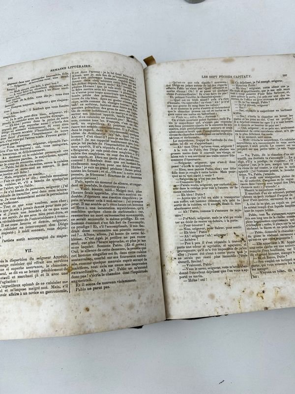 Libro raro en francés de 1848 - Semana Literaria del Correo de los Estados Unidos - imagen 3