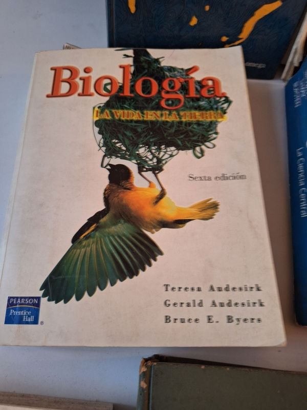 Item 870068 - Image 3