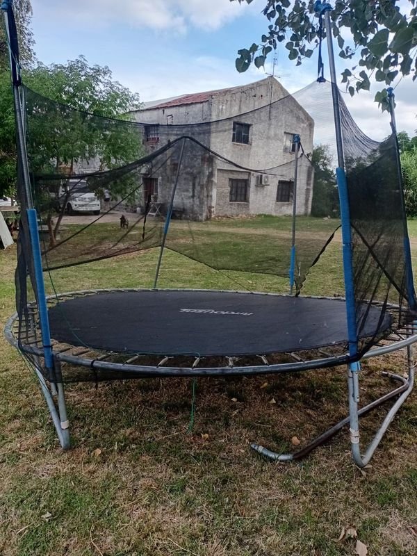 Item 878464 - Image 2