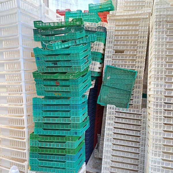 Lotes de cajas plásticas para cosecha - imagen 1