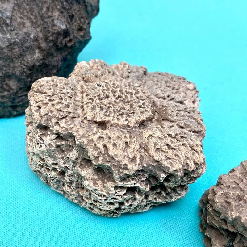 Item 895830 - Image 1