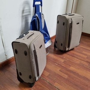 Lote de Valijas Beige con Interior Rayado y Chango de Compras Azul - imagen 3