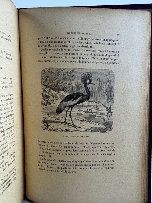 Libro clásico de J.R. WYSS, 'Le Robinson Suisse', edición de 1922 - imagen 6