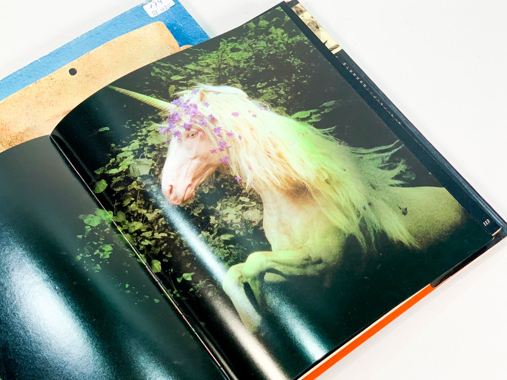 Item 495080 - Image 2