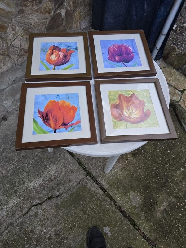 Lote de 4 Cuadros Decorativos con Flores