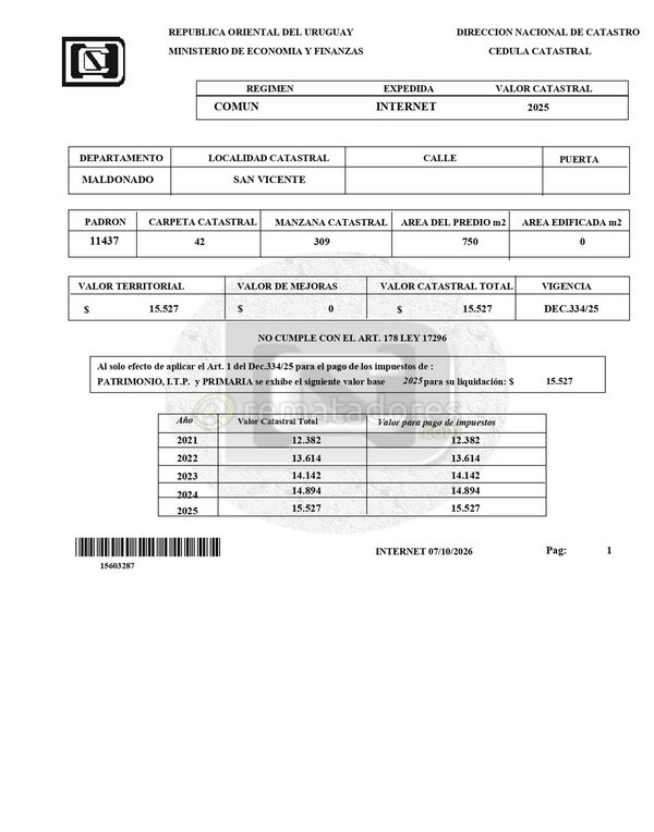 Item pieza-b872449b - Image 0