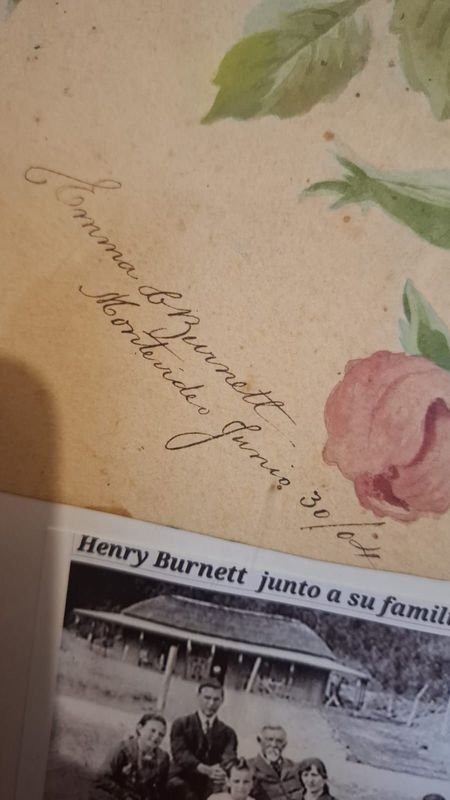 Item 856348 - Image 2