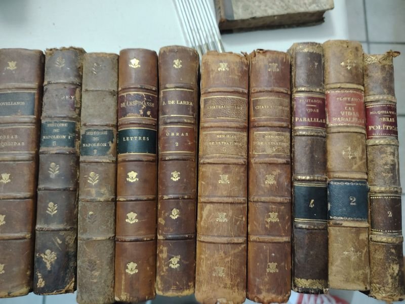 Item 901617 - Image 2