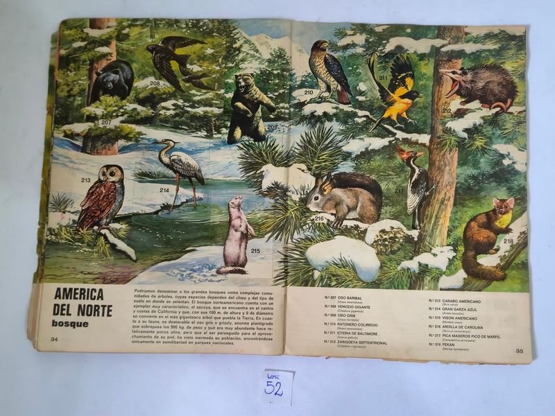 Item 844753 - Image 23