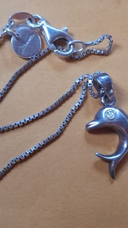 Cadena de plata con dije delfín - imagen 4