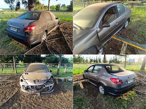 Item 31733 - Image 0