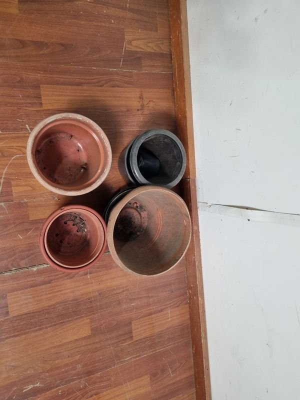 Item 865916 - Image 3