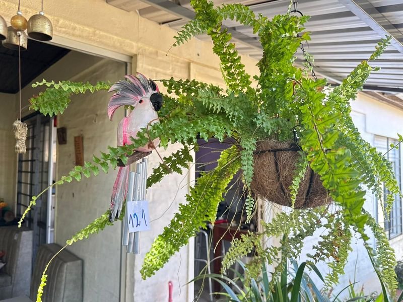 Item 892377 - Image 1