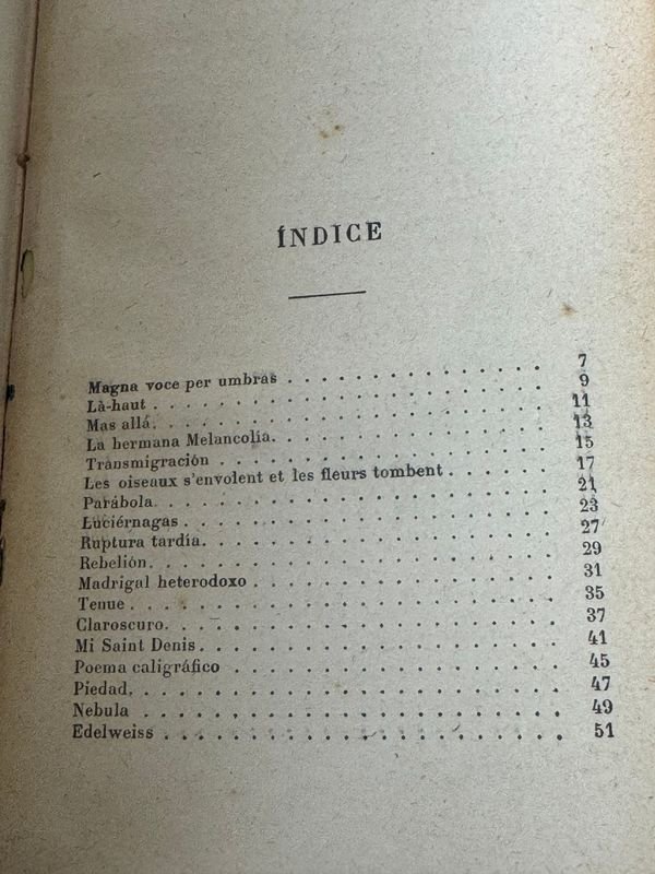 Libro de Poemas Por Amado Nervo - Edición de La Vda De Ch. Bouret, Paris y México 1919 - imagen 7