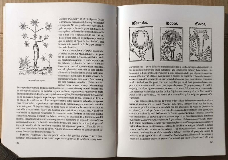 Libro de Historia: LOS MUERTOS Y SUS SOMBRAS - Daniel Vidart - imagen 5
