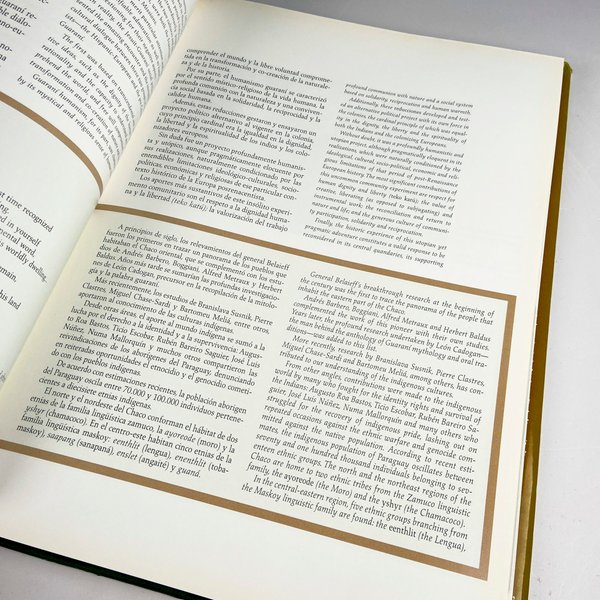 Dos libros sobre Arte Uruguayo y Paraguay - imagen 4