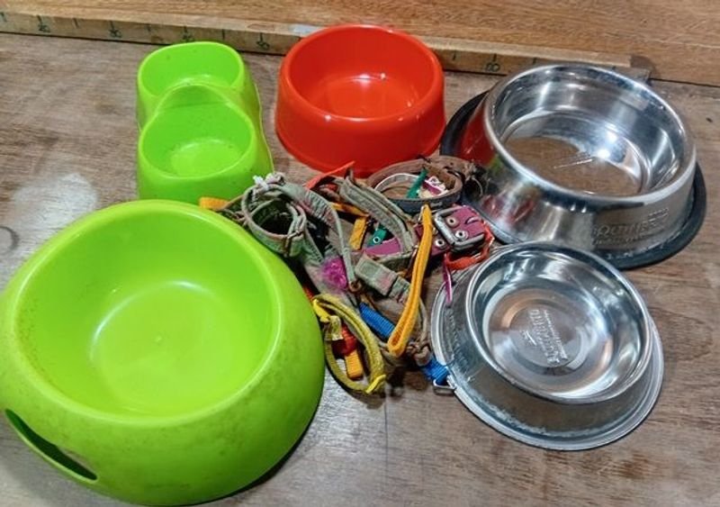 Comederos y collares para felinos o caninos en buen estado - imagen 2