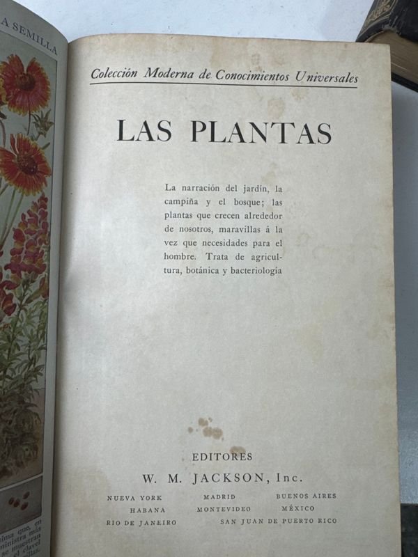 Libros de educación y arte para niños - imagen 7