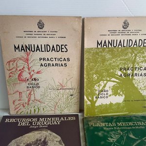 Lote de Libros: Manualidades, Agronomía, Plantas Medicinales y Recursos Minerales - imagen 2