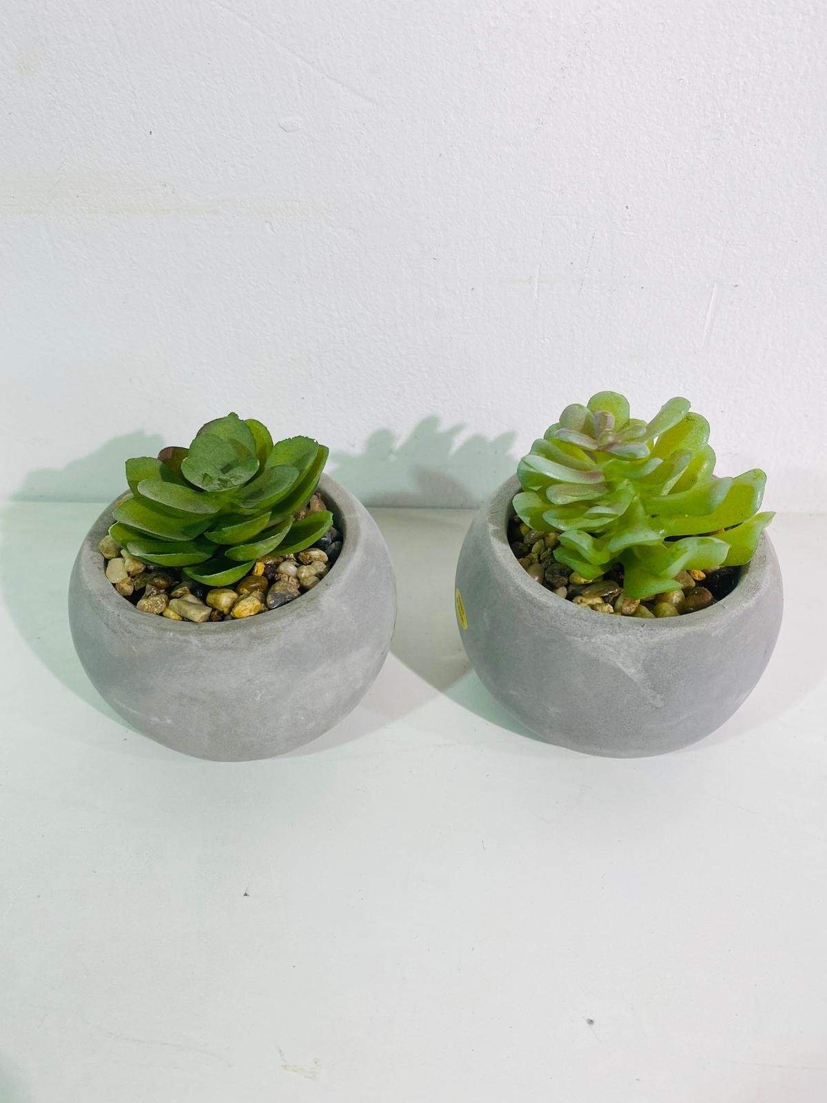 Item lote-x12-macetas-con-planta-artificial - Image 1