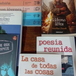 Lote de 16 Libros: Narrativa, Poesía, Teatro y Más - imagen 6