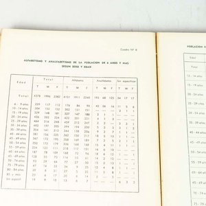 2 Libros: La Unión y Boulevard Sarandí - 250 Años de Montevideo - imagen 2
