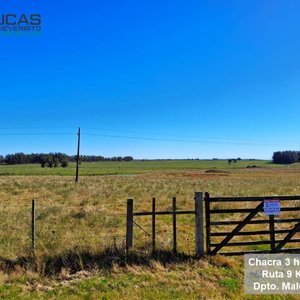 Chacra de 3.34 Hectáreas en Garzón, Maldonado, sobre Ruta 9 - imagen 7