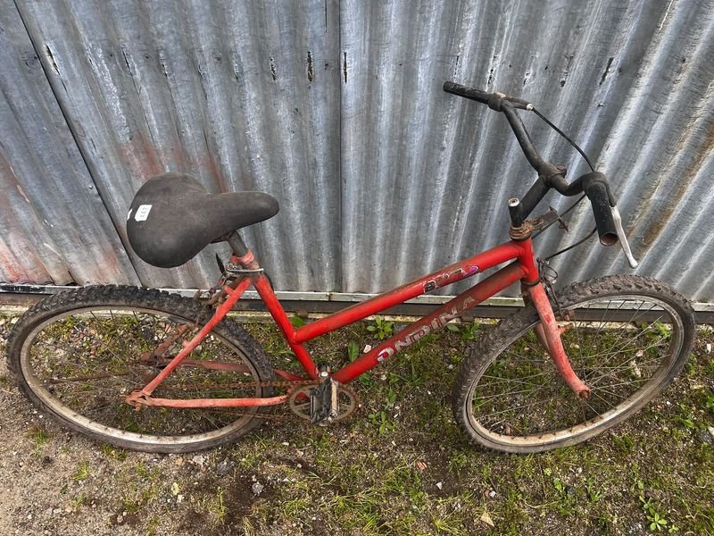 Bicicleta Ondina Roja Clásica para Niños o Adultos Jóvenes