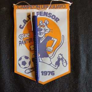 Banderín C.A. Defensor Campeón Uruguayo 1976 "¡Qué Pantera!" - imagen 2