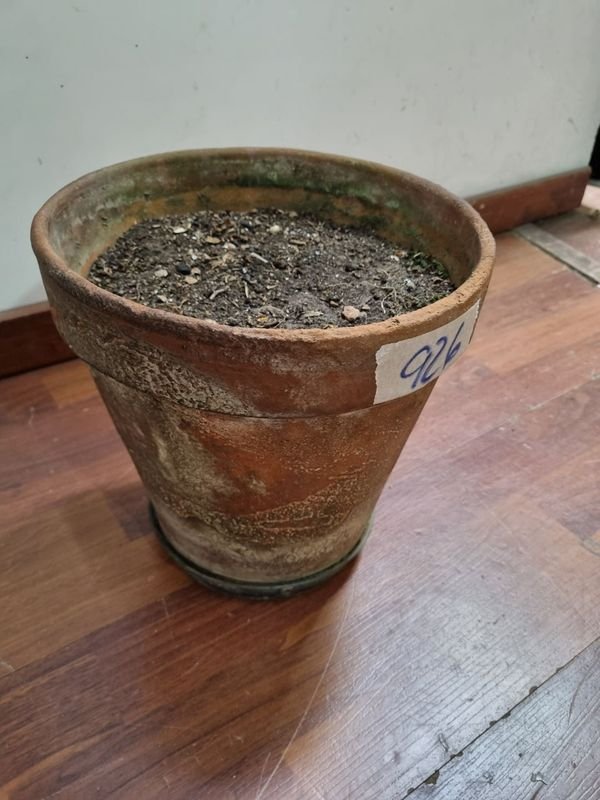 Maceta de barro deteriorada - imagen 3