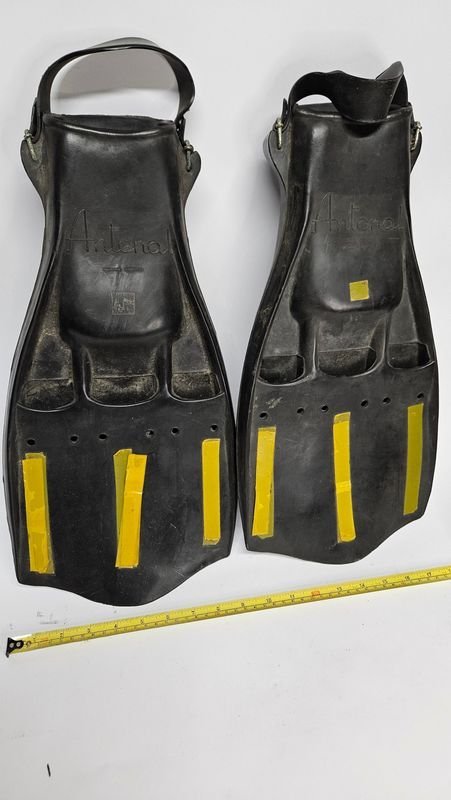 Patas de rana para colección