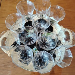 Juego de 10 Copas Octogonales con Base Negra y Bandeja - imagen 5