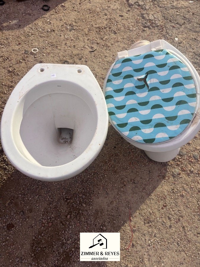 Dos Inodoros Blancos con Tapa Decorada