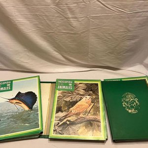 Enciclopedia de los Animales: Fascículos y Carpetas de 1970 - imagen 4