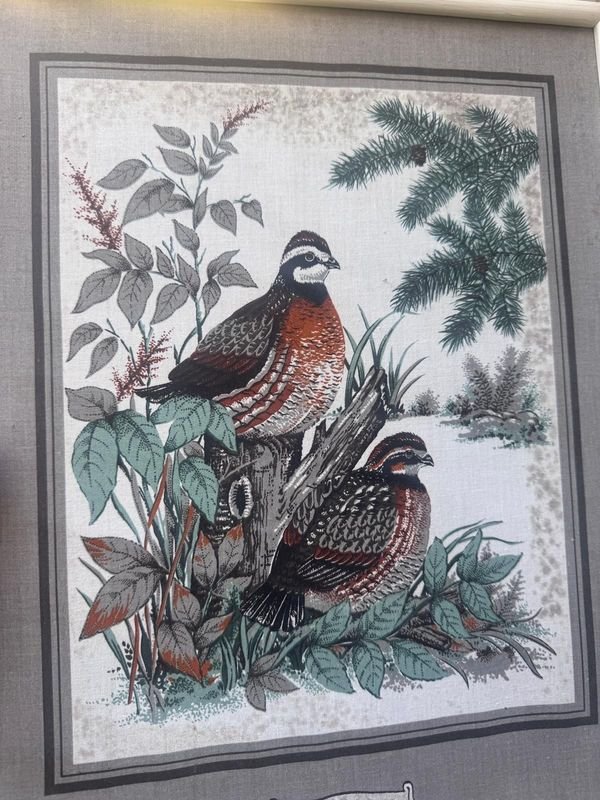 Colección de cuadritos decoración estilo aves - imagen 6