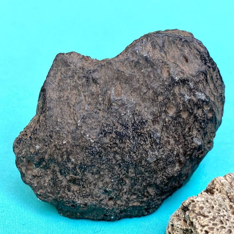 Item 895830 - Image 2