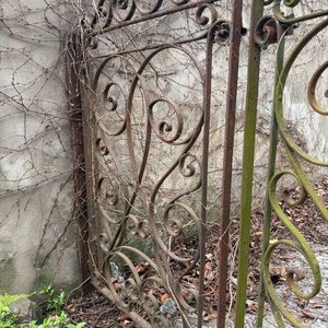 Antigua Doble Puerta Exterior de Hierro Forjado con Diseño Ornamental - imagen 4