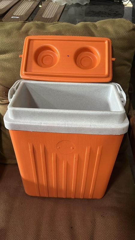 Conservadora de Refrigeración en Naranja - imagen 2
