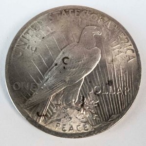 Moneda de Plata Dólar Estadounidense 1923 "Peace Dollar" - imagen 2