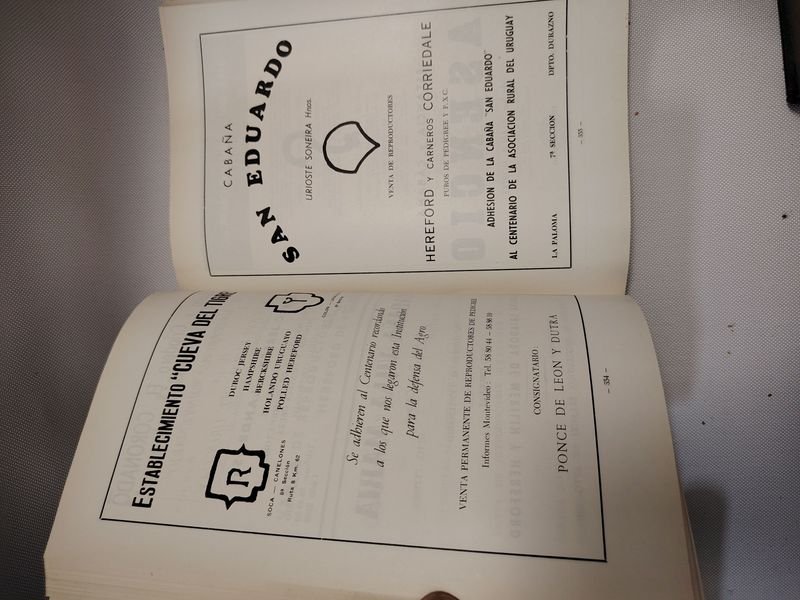 Item 901608 - Image 5